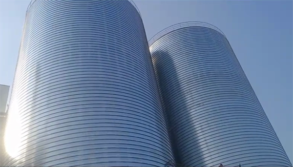 进贤2座混凝土高架卷板仓